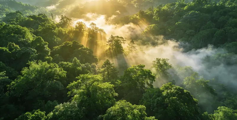 济宁肺癌12基因ctDNA突变检测(血液）图片1