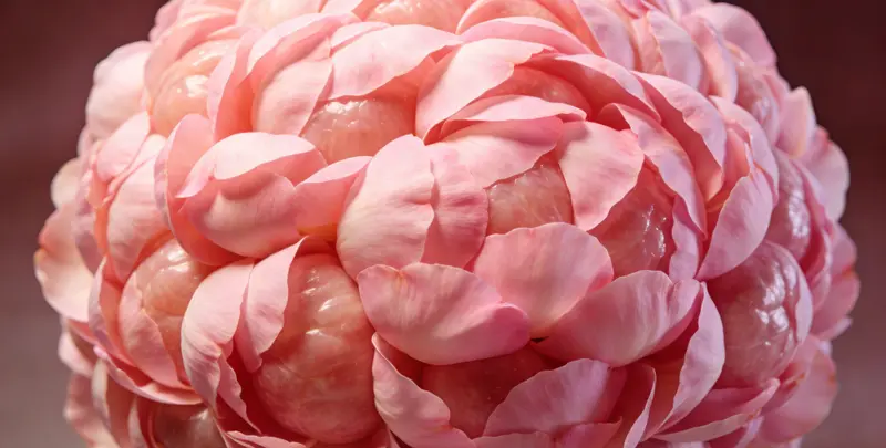 济宁BRCA1/2乳腺癌卵巢癌基因检测图片1